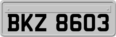BKZ8603