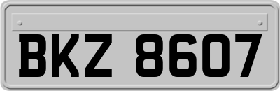 BKZ8607
