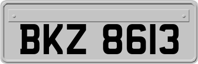 BKZ8613