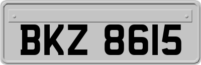 BKZ8615