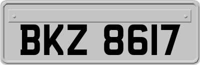 BKZ8617