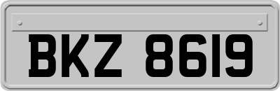 BKZ8619
