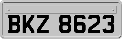 BKZ8623