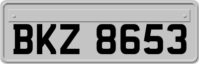 BKZ8653