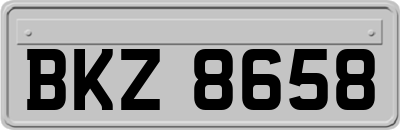 BKZ8658