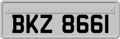 BKZ8661