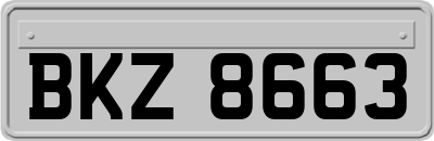 BKZ8663