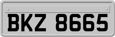 BKZ8665