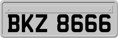 BKZ8666