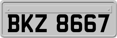 BKZ8667
