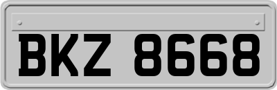 BKZ8668