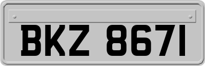 BKZ8671