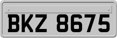 BKZ8675