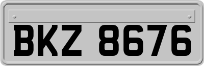 BKZ8676