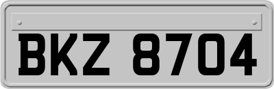 BKZ8704