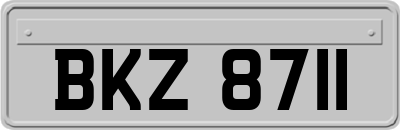 BKZ8711
