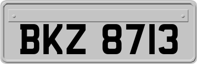 BKZ8713