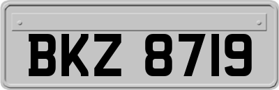 BKZ8719