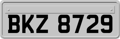 BKZ8729