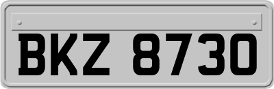 BKZ8730