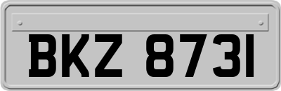 BKZ8731