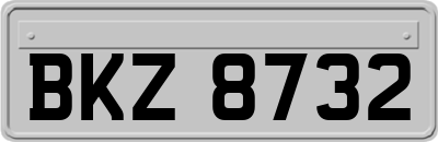BKZ8732