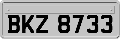 BKZ8733