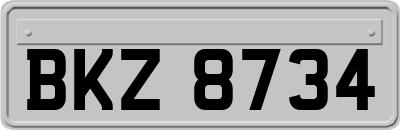BKZ8734