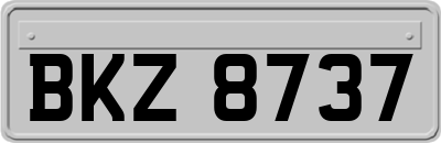BKZ8737