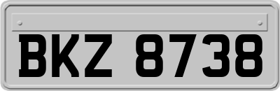 BKZ8738