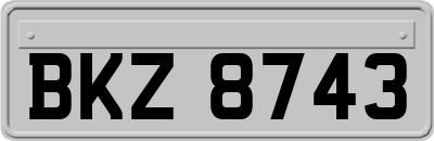 BKZ8743