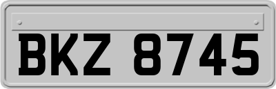 BKZ8745