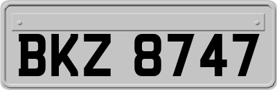 BKZ8747