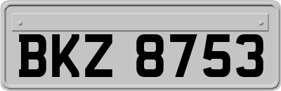 BKZ8753