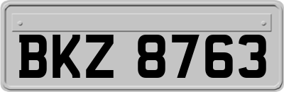 BKZ8763