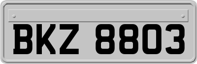 BKZ8803