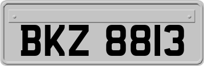 BKZ8813