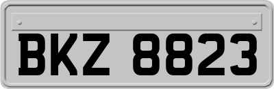 BKZ8823