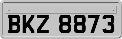 BKZ8873