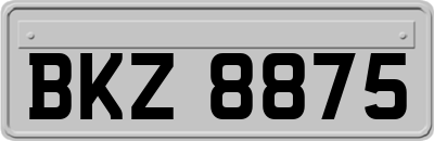 BKZ8875