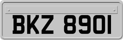 BKZ8901