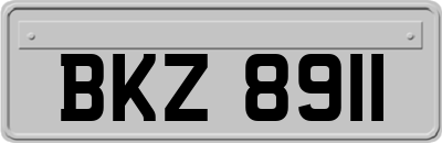 BKZ8911