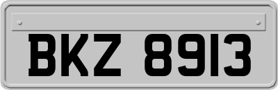 BKZ8913