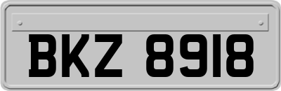 BKZ8918