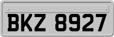 BKZ8927
