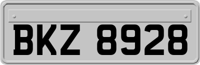 BKZ8928