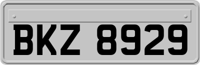 BKZ8929