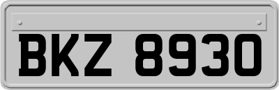 BKZ8930
