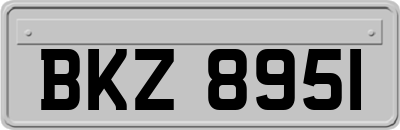 BKZ8951