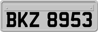BKZ8953